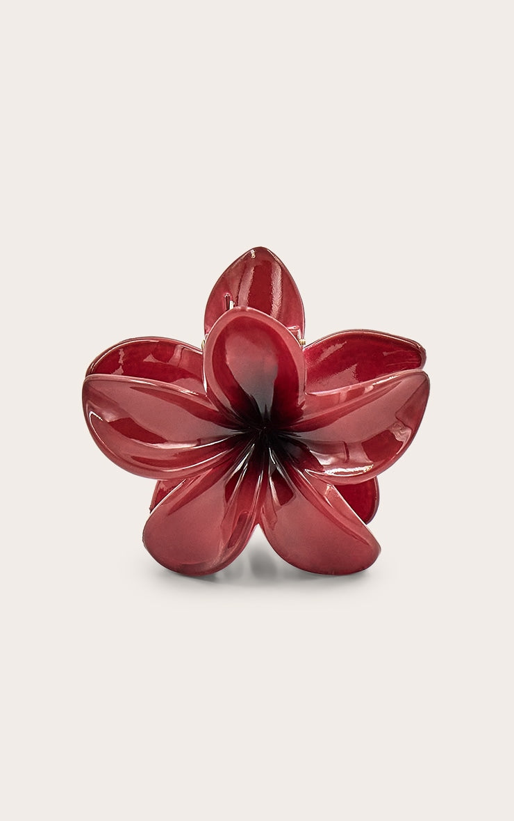 Pince à cheveux Talys