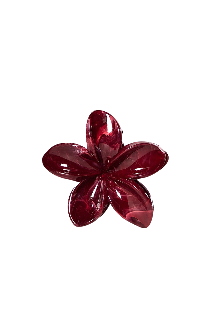 Pince à cheveux SOLA