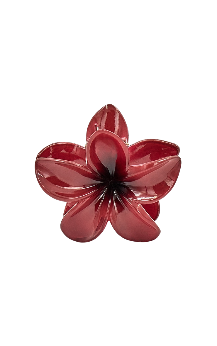 Pince à cheveux Talys