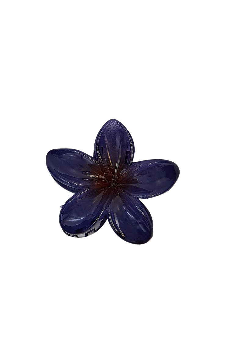 Pince à cheveux Velyn